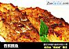 香煎鳕鱼的做法
