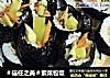 ＃信任之美＃紫菜包饭的做法
