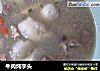 牛肉炖芋头的做法