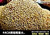 #ACA烘焙明星大赛#洋葱肉馅饼的做法