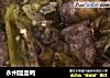 永州醋血鸭的做法