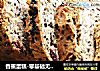 香蕉蛋糕-零基础无黄油香蕉面包的做法
