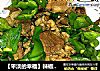 【平淡的幸福】辣椒炒肉的做法