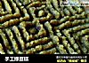 手工绿豆糕的做法