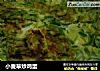 小麦草炒鸡蛋的做法