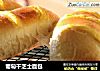 葡萄干芝士面包的做法