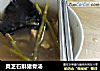 灵芝石斛猪骨汤的做法