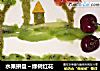 水果拼盘～绿树红花的做法