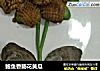 鲍鱼香肠花黄瓜的做法