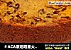 ＃ACA烘焙明星大赛＃红枣红糖蛋糕胚的做法