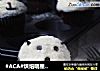 #ACA#烘焙明星大赛--巧克力动物杯子蛋糕的做法