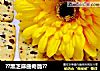 ??黑芝麻曲奇脆??的做法