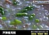 芦笋瘦肉粥的做法