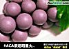 #ACA烘焙明星大赛#葡萄小馒头的做法