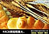 #ACA烘焙明星大赛#小绵羊面包的做法