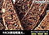 #ACA烘培明星大赛#全麦蔓越莓软式欧包（低脂免揉）的做法