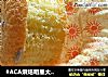 #ACA烘焙明星大赛#无水无油老式蛋糕的做法