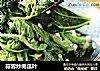 蒜蓉炒南瓜叶的做法