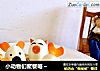小动物们聚餐咯～的做法
