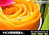 #ACA烘焙明星大赛#高粱芒果蛋糕的做法