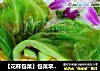 【花样包菜】包菜早餐卷的做法