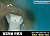 宝宝辅食 香蕉泥的做法