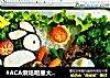 #ACA烘焙明星大赛#小兔子牛肉蔬菜便当的做法