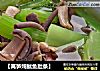 【莴笋炖鱿鱼肚条】的做法