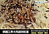 韩国三养火鸡超辣拉面的做法