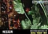 烤五花肉的做法