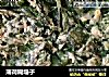 薄荷糊塌子的做法
