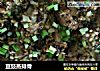 豆豉蒸排骨的做法