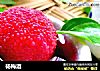 杨梅酒的做法