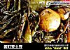 酱豇豆土豆的做法