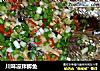 川味凉拌鲫鱼的做法