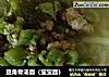 豆角骨汤面（宝宝面）的做法