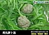 肉丸萝卜汤的做法