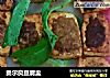 奥尔良豆腐盅的做法