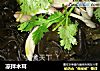凉拌木耳的做法