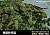 青椒炒鸡蛋的做法