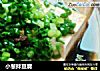 小葱拌豆腐的做法