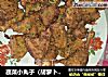 蔬菜小丸子（胡萝卜，黄瓜和韭菜）的做法