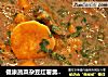 健康蔬菜杂豆红薯羹（菜豆糊、菜和渣）的做法