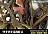 鸭子煲冬瓜海带汤的做法