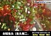 剁椒鱼头（鱼头第二种吃法）的做法