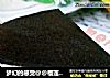 梦幻的感觉@@榴莲巧克力冷冻芝士蛋糕的做法