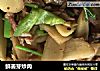 鲜姜芽炒肉的做法