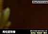 肉松蛋糕卷的做法