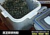 黑芝麻核桃粉的做法