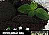 奥利奥咸奶油蛋糕的做法